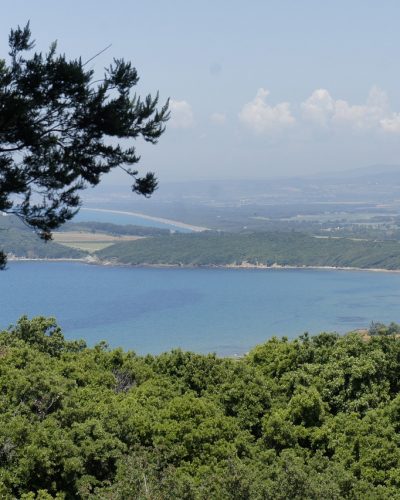 Naturgebiet Maremma